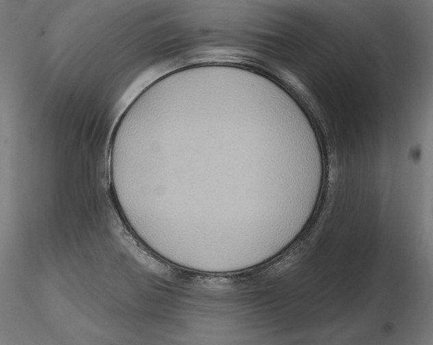 X0000116491370201001061132