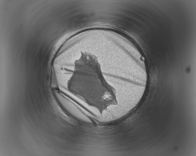 X0000116491371201001061132