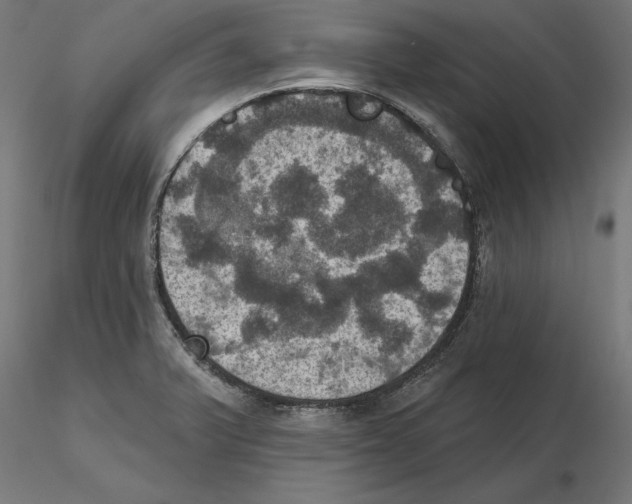 X0000116491375201001061132