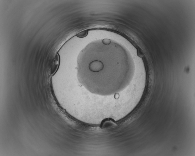 X0000116491377201001061132