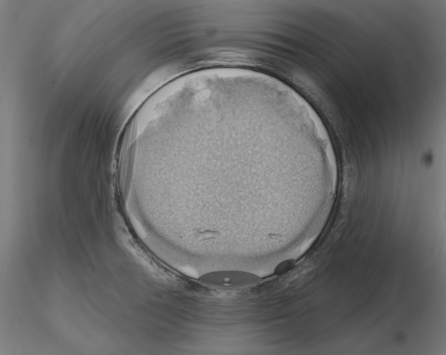 X0000116491378201001061132