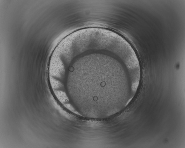 X0000116491379201001061132