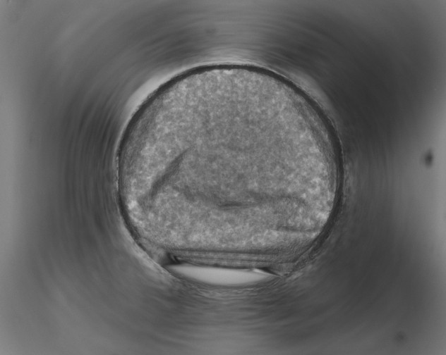 X0000116491380201001061132