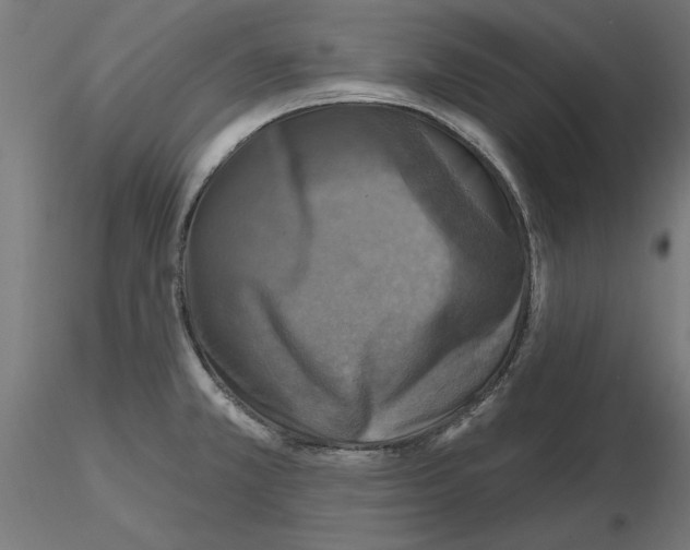 X0000116491381201001061132