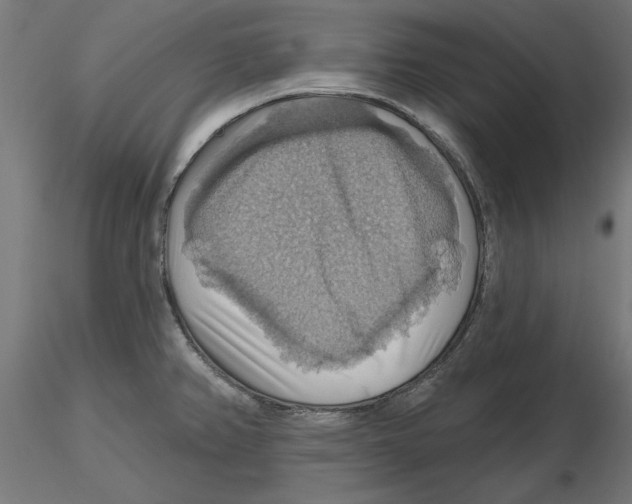 X0000116491382201001061132