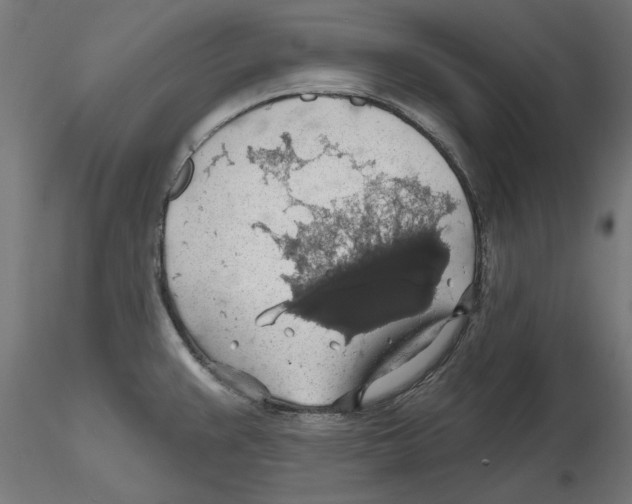 X0000116491383201001061132