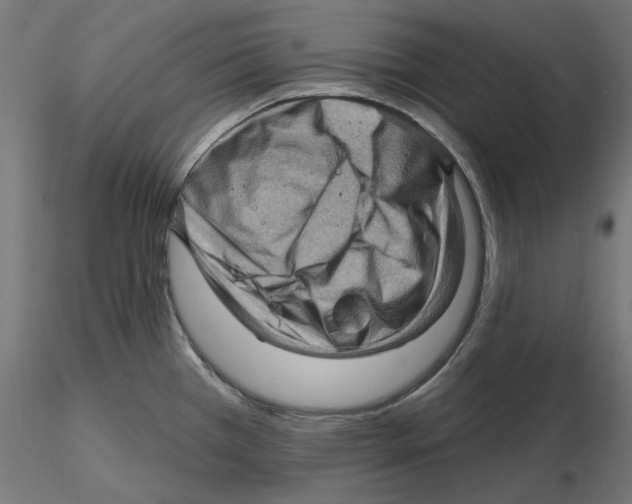 X0000116491385201001061132