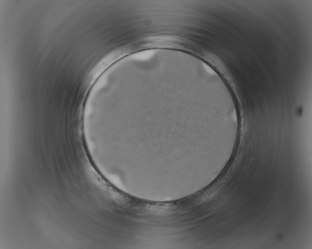 X0000116491386201001061132