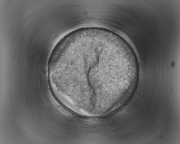 X0000116491388201001061132