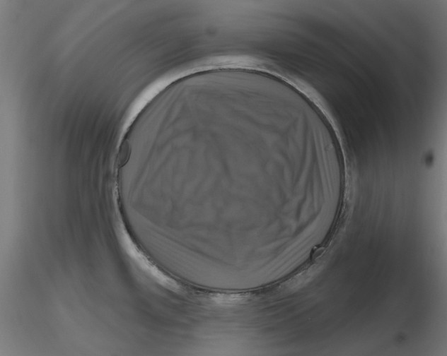 X0000116491389201001061132