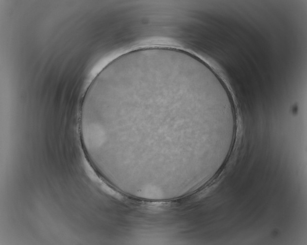 X0000116491390201001061132