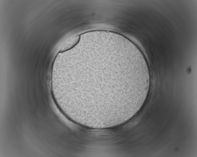 X0000116491391201001061132