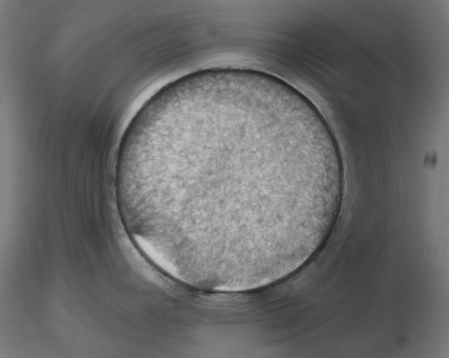 X0000116491392201001061132