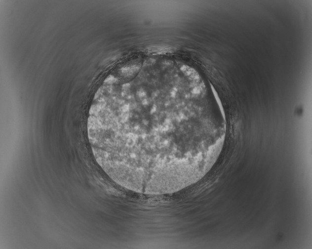 X0000116491393201001061131