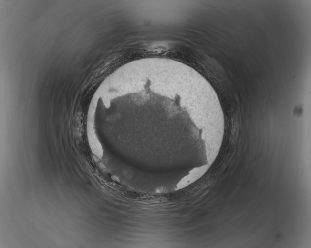 X0000116491394201001061131