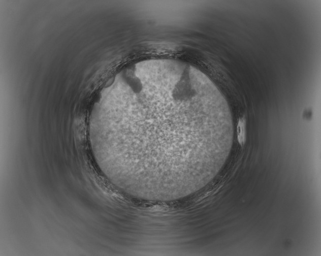 X0000116491395201001061131