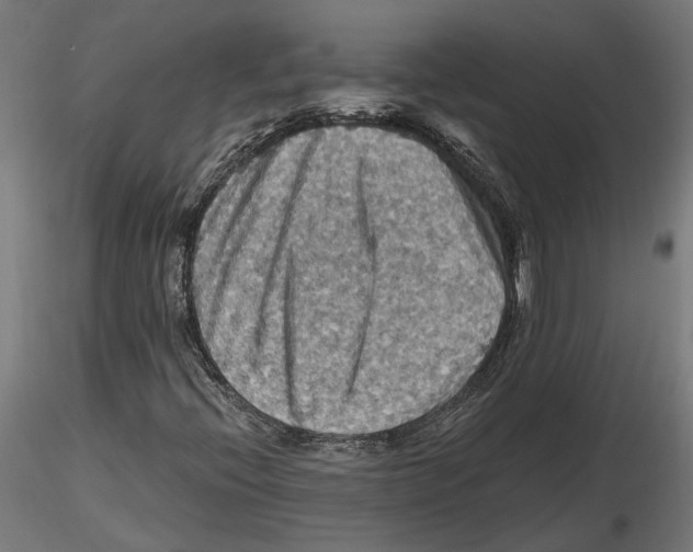 X0000116491396201001061131