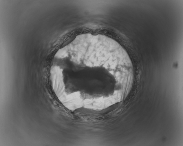 X0000116491397201001061131