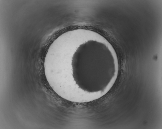 X0000116491398201001061131