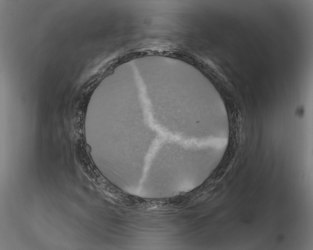 X0000116491399201001061131