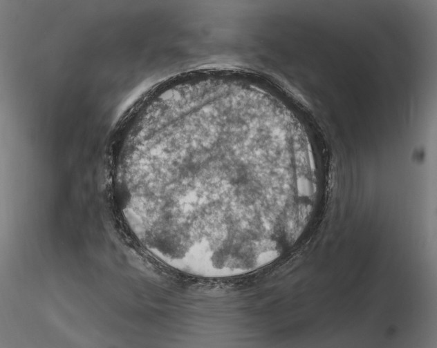 X0000116491400201001061131