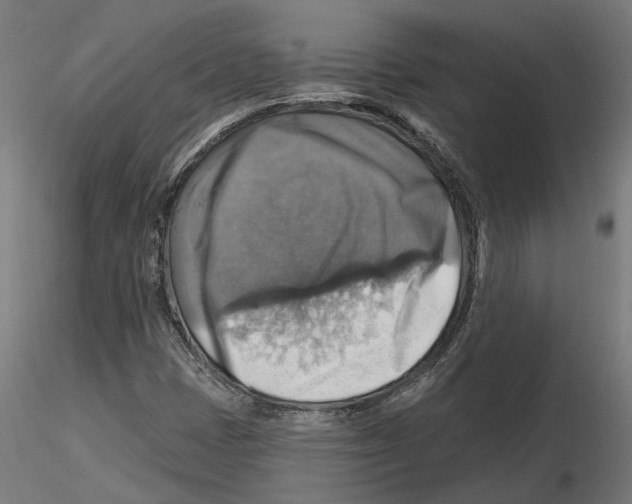 X0000116491401201001061131