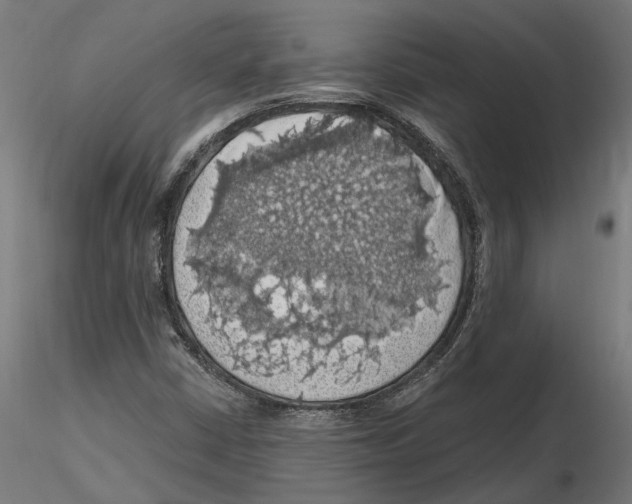 X0000116491402201001061131