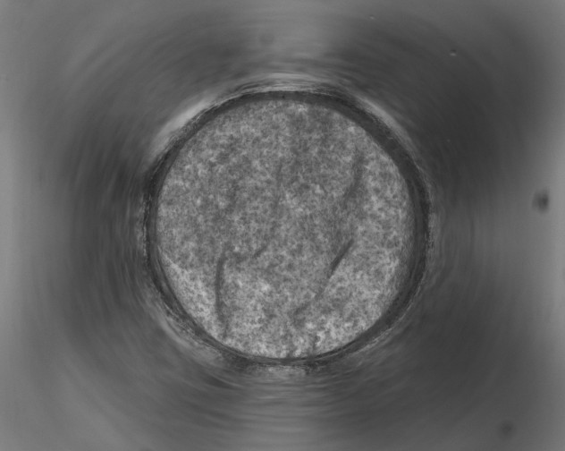 X0000116491403201001061131