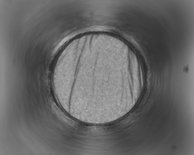 X0000116491404201001061131