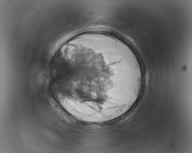 X0000116491405201001061131