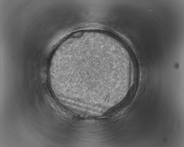 X0000116491407201001061131