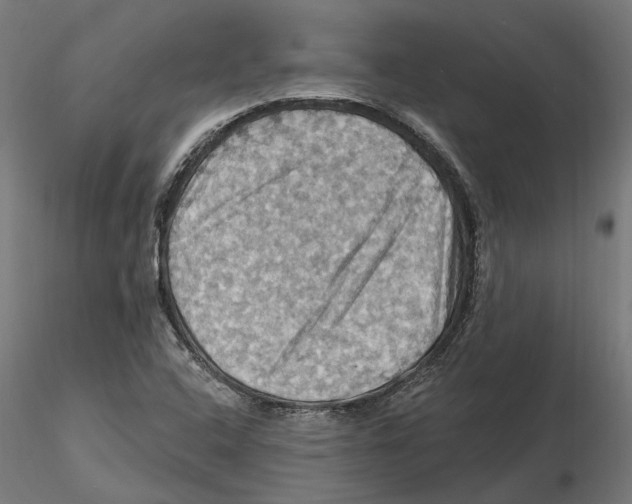 X0000116491408201001061131