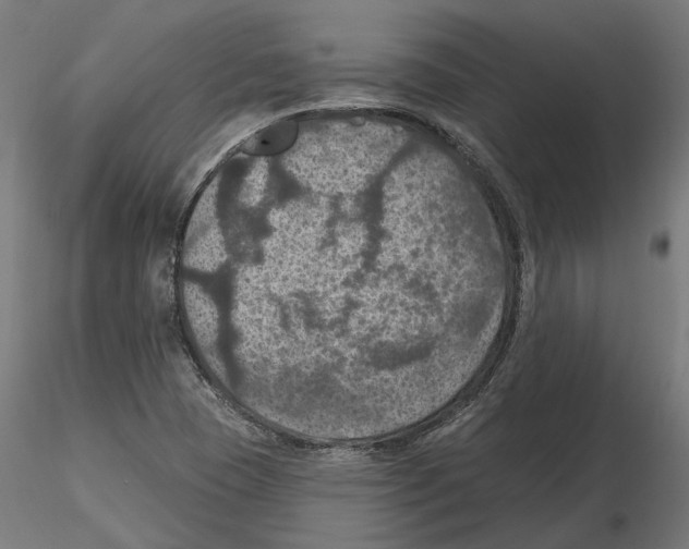 X0000116491409201001061131