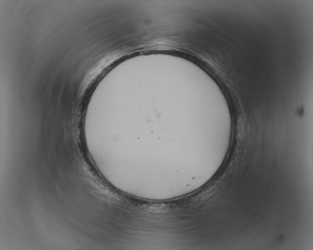 X0000116491410201001061131