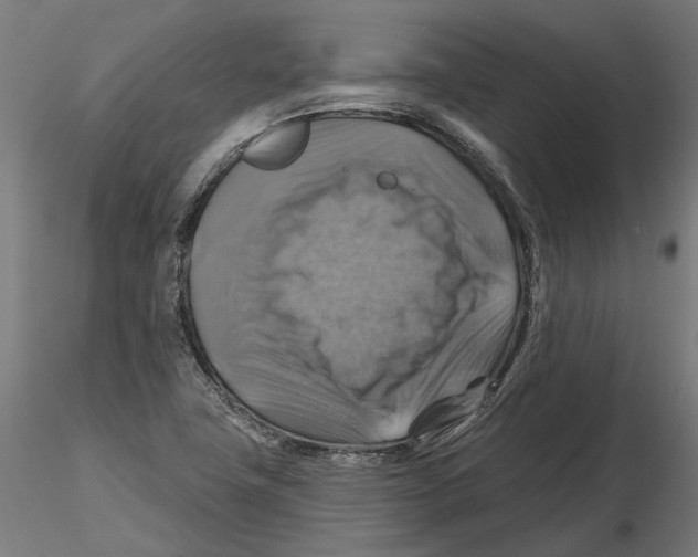 X0000116491411201001061131