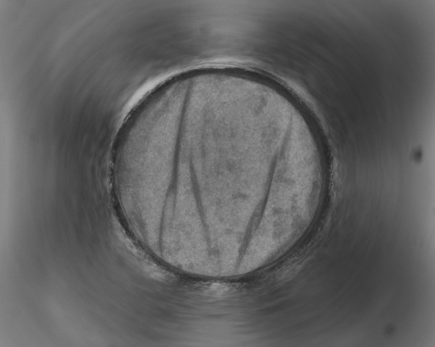 X0000116491412201001061131