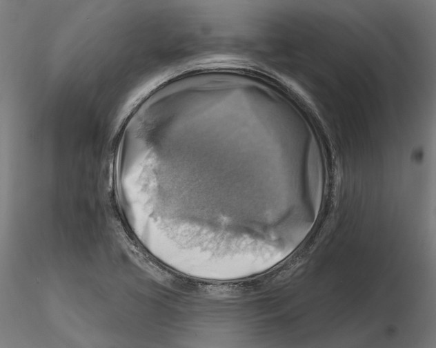 X0000116491413201001061131