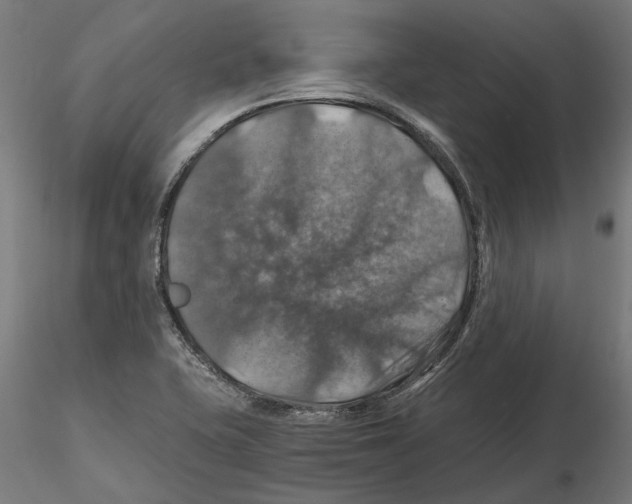 X0000116491415201001061132