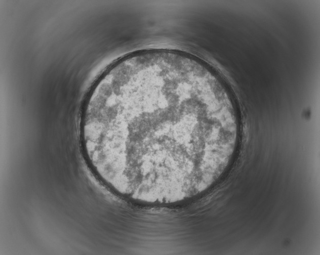 X0000116491416201001061132