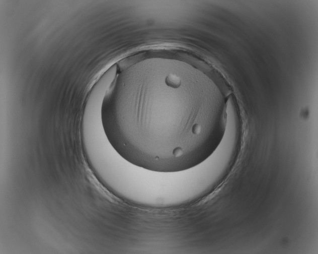 X0000116491417201001061132