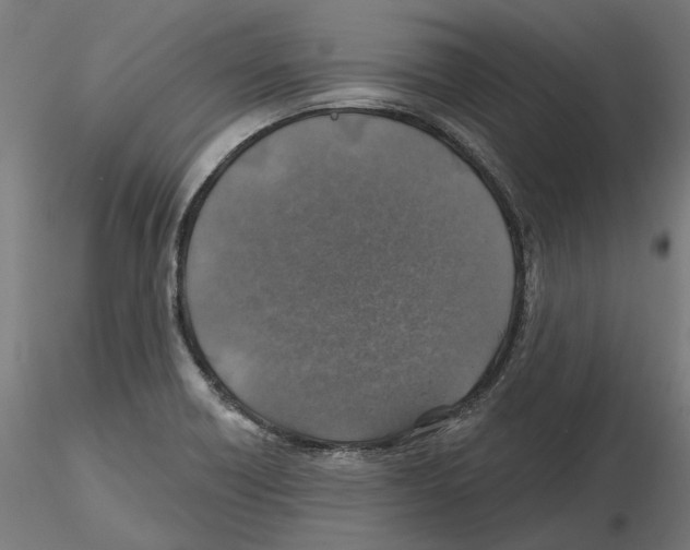 X0000116491418201001061132