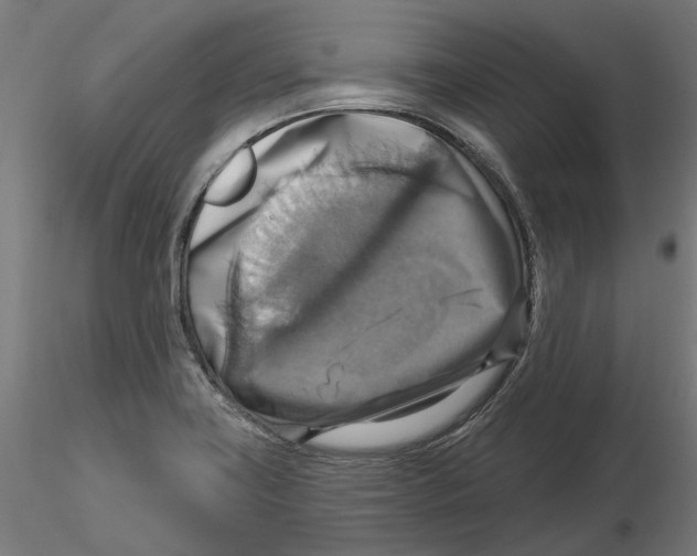 X0000116491419201001061132