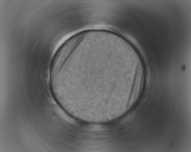 X0000116491420201001061132