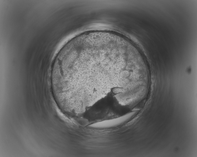 X0000116491421201001061132