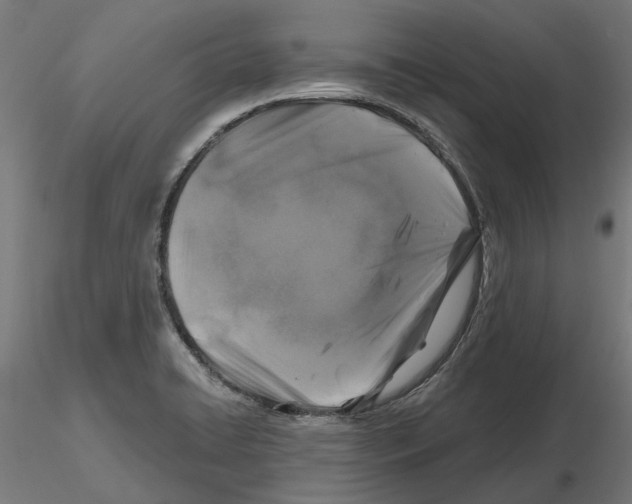 X0000116491422201001061132