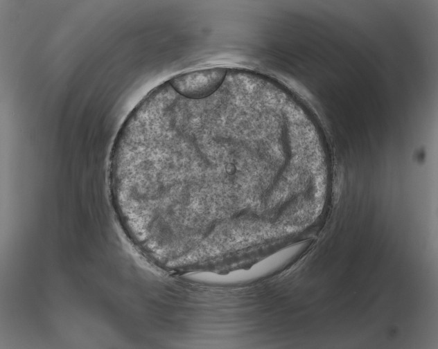 X0000116491423201001061132