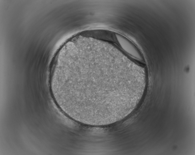 X0000116491424201001061132