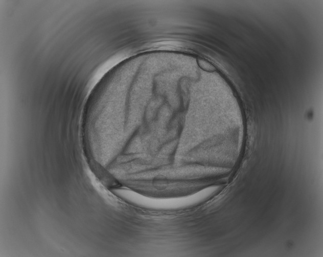 X0000116491426201001061132