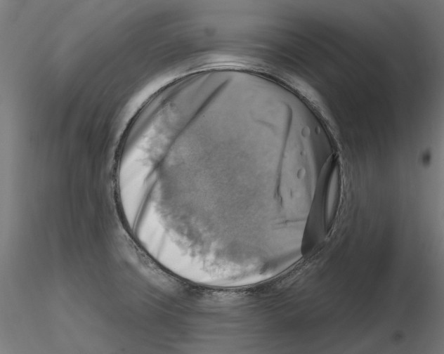 X0000116491427201001061132