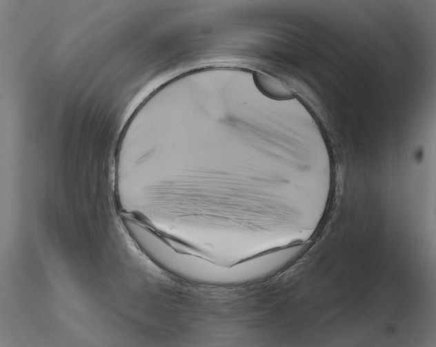 X0000116491428201001061132